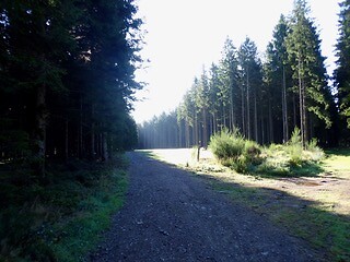 dag 5