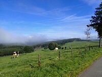 dag 5
