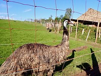 Dag 6