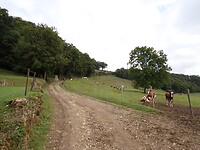 dag 3
