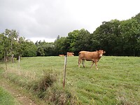dag 3
