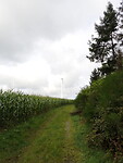 dag 4