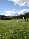 dag 4