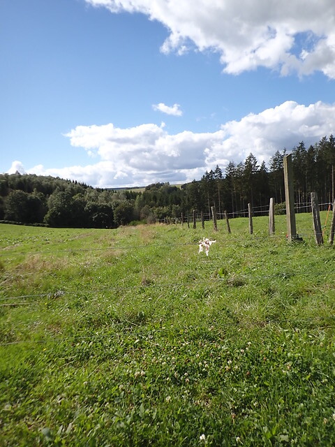 dag 4