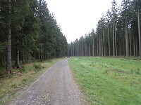 dag 5