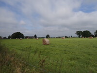 dag 6