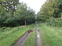 dag 6