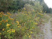 P9080012