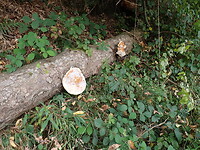 P9080013