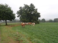 P9100027