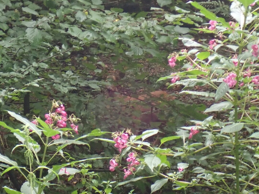 P9100049