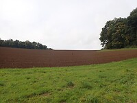 P9100054