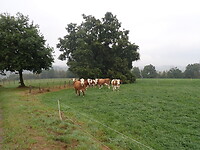P9100027