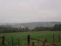 P9100029