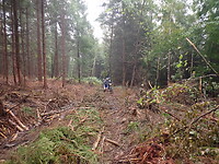 P9100031