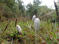 P9100037