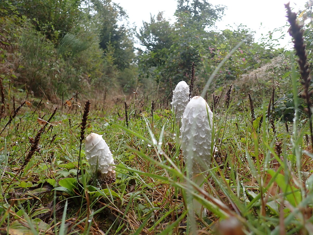 P9100037