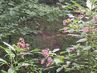 P9100049