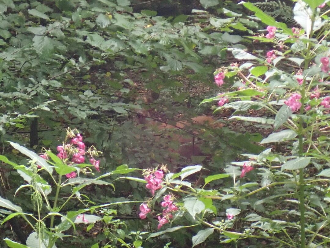 P9100049