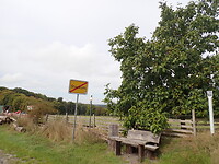P9100056