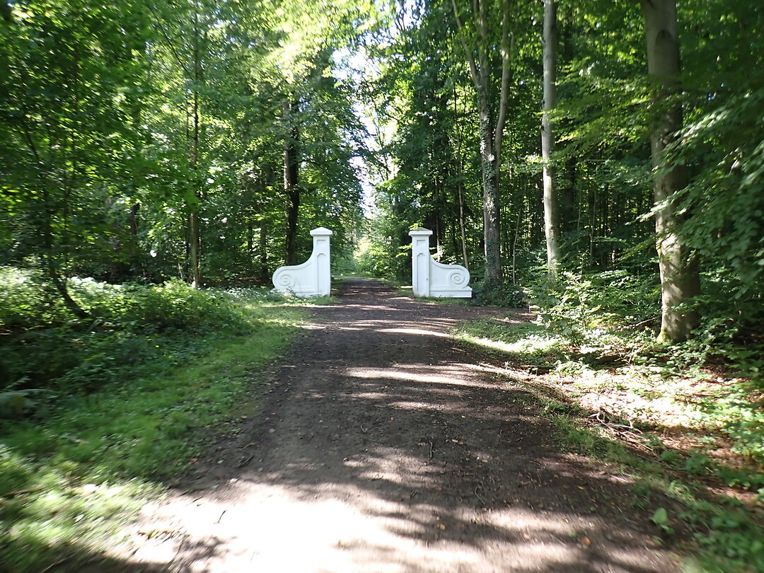 P9100058