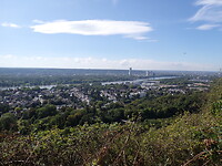 P9100059