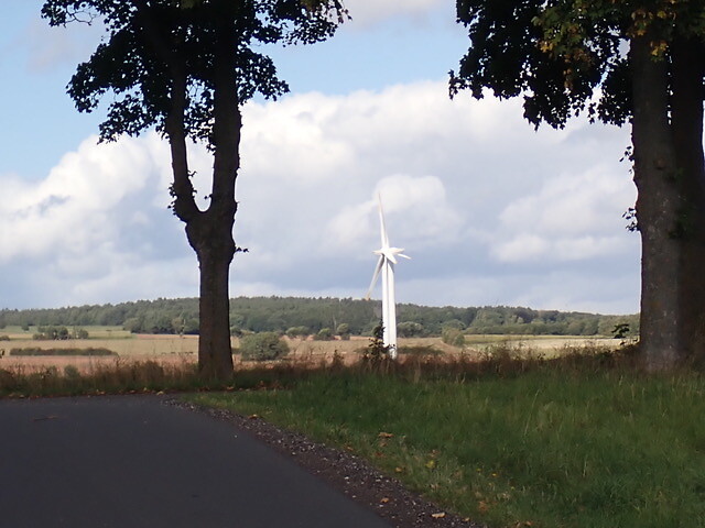 P9110018