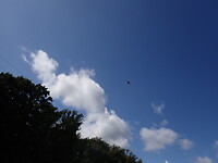 P9110022