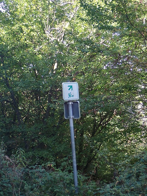 P9110023