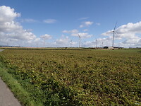 P9120010