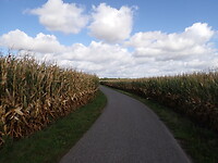 P9120012