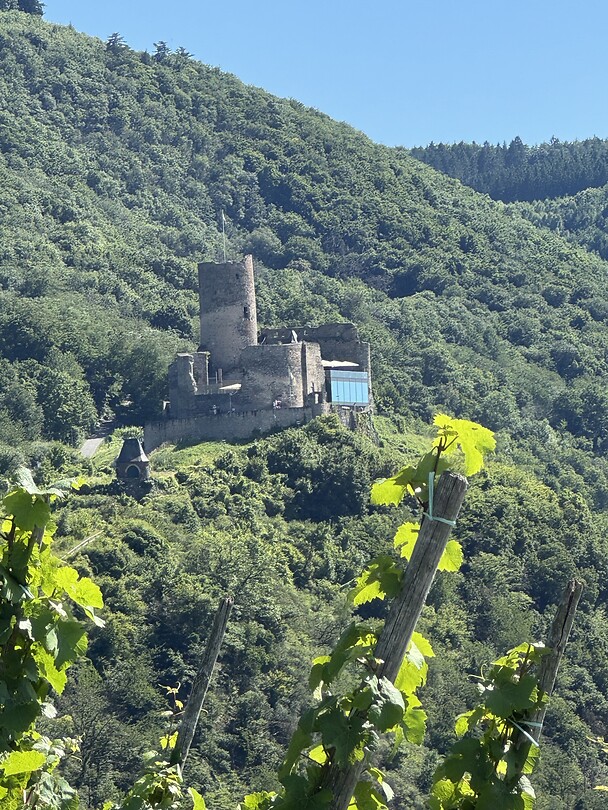 Burg landshut
