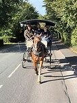 In de koets
