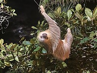 IMG-20221211-WA0018