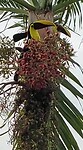 VID-20221215-WA0004