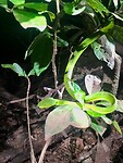 IMG-20221218-WA0011
