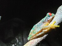 IMG-20221218-WA0015