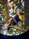 IMG-20221225-WA0008