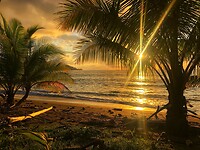 IMG-20221227-WA0000