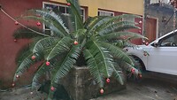 IMG-20221228-WA0002