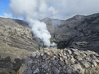 1000019708
