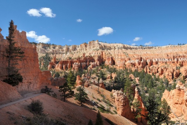 DSC_6299 (48)