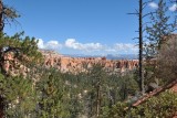 DSC_6305 (54)