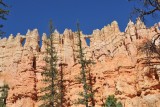 DSC_6270 (19)