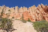 DSC_6271 (20)