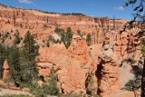 DSC_6297 (46)