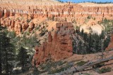 DSC_6301 (50)