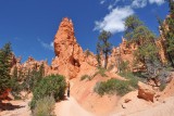 DSC_6306 (55)