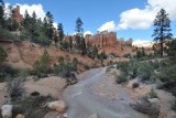 DSC_6320 (69)b