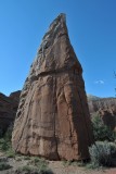 DSC_6355 (104)